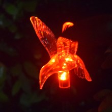 AMAZON太阳能草坪灯蝴蝶蜻蜓小鸟七彩LED装饰照明地插引路灯